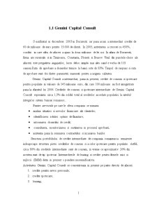 Credite Bancare Intermediate de Gemini Capital Consult - Pagina 1