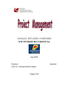 Analiza Situației Companiei SNP Petrom Bucuresti SA - Pagina 1