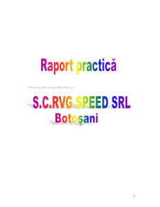 Raport de practică agenția SC RVG Speed SRL - Pagina 1