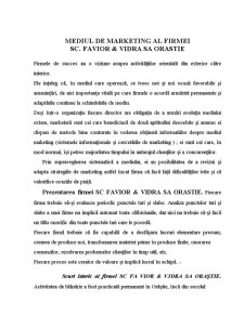 Mediul de marketing al firmei SC Favior & Vidra SA Orăștie - Pagina 1