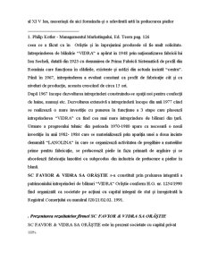 Mediul de marketing al firmei SC Favior & Vidra SA Orăștie - Pagina 2