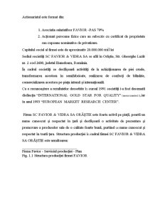 Mediul de marketing al firmei SC Favior & Vidra SA Orăștie - Pagina 3