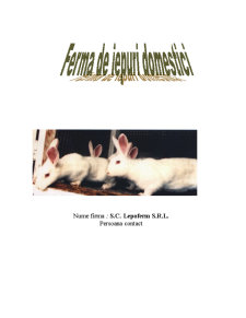 Fermă de iepuri domestici - SC Lepoferm SRL - Pagina 1