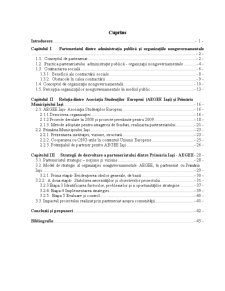 Strategii de dezvoltare a parteneriatului administrație publică-organizații nonguvernamentale - Pagina 1