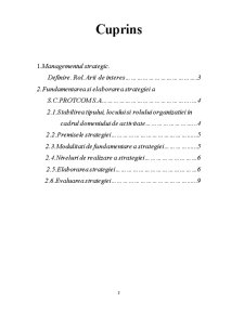 Studiu de Caz - Fundamentarea și Elaborarea Strategiei a SC Protcom SA - Pagina 2