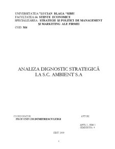 Analiza dignostic strategică la SC Ambient SA - Pagina 2
