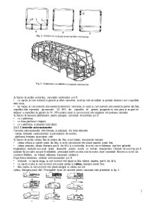 Caroserii pentru Automobile - Pagina 2