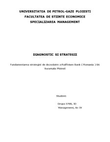 Diagnostic și strategii - fundamentarea strategiei de dezvoltare a Raiffeisen Bank (România) SA - sucursala Ploiești - Pagina 1