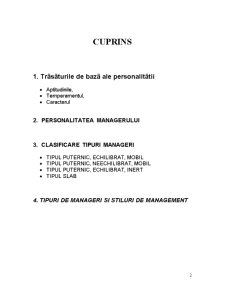 Personalitatea Managerului - Pagina 2