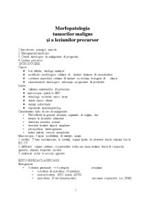 Morfopatologia Tumorilor Maligne și a Leziunilor Precursor - Pagina 1