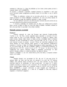 Mediul de marketing - SC Alimenta SA Bacău - Pagina 4