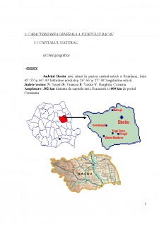 Strategia de dezvoltare a județului Bacău - Pagina 5
