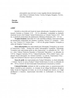 Strategia de dezvoltare a județului Bacău - Pagina 10