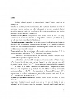 Strategia de dezvoltare a județului Bacău - Pagina 11