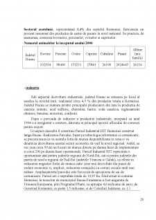 Strategia de dezvoltare a județului Bacău - Pagina 29