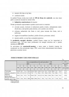 Strategia de dezvoltare a județului Bacău - Pagina 32