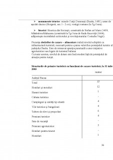 Strategia de dezvoltare a județului Bacău - Pagina 36