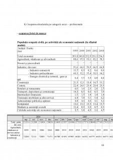 Strategia de dezvoltare a județului Bacău - Pagina 66