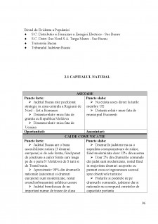 Strategia de dezvoltare a județului Bacău - Pagina 96