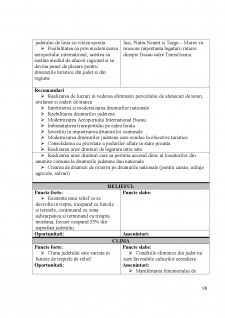 Strategia de dezvoltare a județului Bacău - Pagina 98