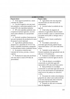 Strategia de dezvoltare a județului Bacău - Pagina 108