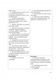 Strategia de dezvoltare a județului Bacău - Pagina 111