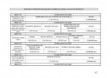 Strategia de dezvoltare a județului Bacău - Pagina 207