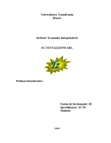 Economia întreprinderii - SC Tentazzione SRL - Pagina 1