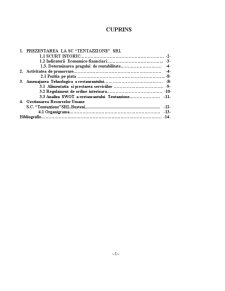 Economia întreprinderii - SC Tentazzione SRL - Pagina 2