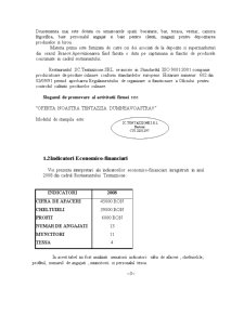 Economia întreprinderii - SC Tentazzione SRL - Pagina 4