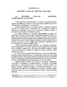 Gestiunea Riscurilor de Credit si Metode de Prevenire in Cadrul Bancii Romanesti - Pagina 4