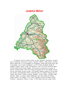 Județul Bihor - Pagina 1