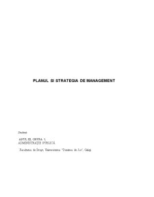 Planul și Strategia de Management - Pagina 1