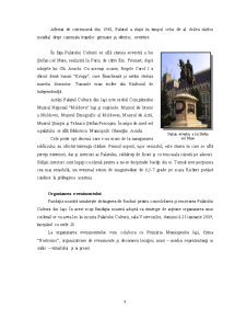 Strângere de fonduri pentru renovarea și consolidarea Palatului Culturii Iași - Pagina 5