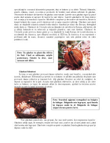 Animale și plante - gândacii - Pagina 3