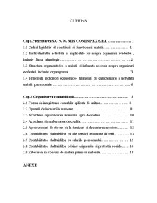 Lucrare practică la contabilitate SC NW Mix Comimpex SRL - Pagina 1