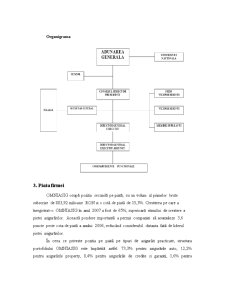 Proiect Management Strategic - Studiu de Caz Omniasig - Pagina 5
