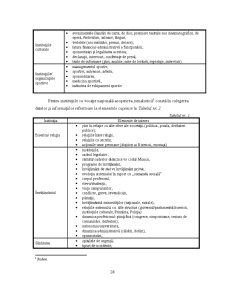 Analiza Imaginii Organizațiilor - Pagina 145