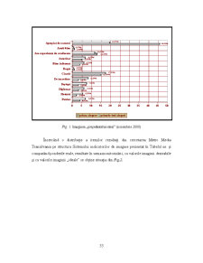 Analiza Imaginii Organizațiilor - Pagina 154