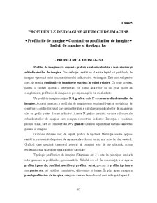 Analiza Imaginii Organizațiilor - Pagina 181