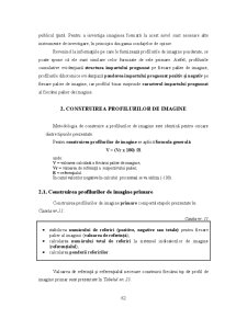 Analiza Imaginii Organizațiilor - Pagina 183