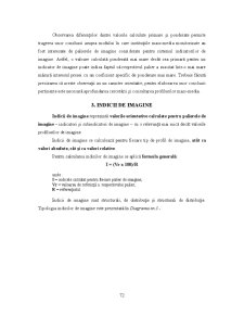 Analiza Imaginii Organizațiilor - Pagina 193