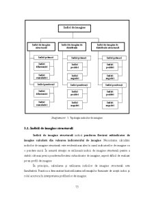 Analiza Imaginii Organizațiilor - Pagina 194