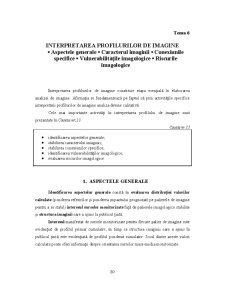 Analiza Imaginii Organizațiilor - Pagina 201