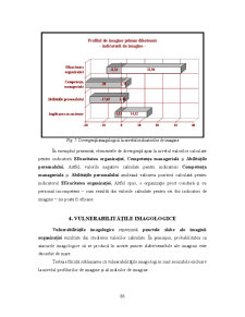 Analiza Imaginii Organizațiilor - Pagina 207