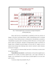 Analiza Imaginii Organizațiilor - Pagina 210