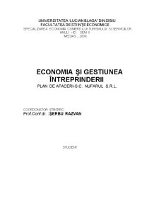 Economia și gestiunea întreprinderii plan de afaceri - SC Nufărul SRL - Pagina 1