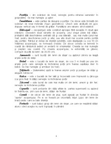 Poarta Traditionala Romanesca - Functie, Simboluri - Pagina 4