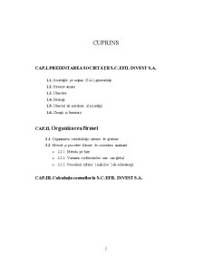 Calculația costurilor la SC Efil Invest SA Dârmănești - Pagina 2