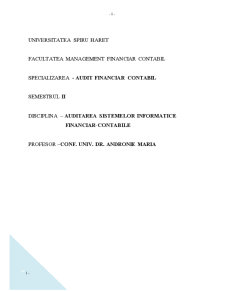 Raport de audit intern al modului de organizare a activității de tehnologia informației în entitatea publică - Pagina 1